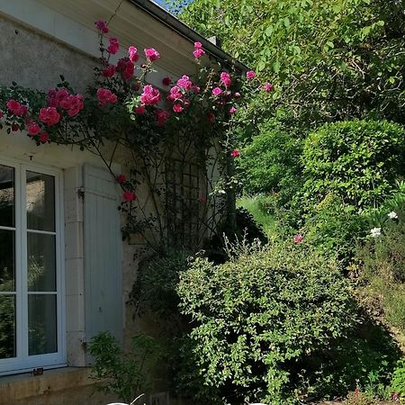 Bed and Breakfast Le Moulin Du Mesnil Saint-Georges-sur-Cher Exterior foto