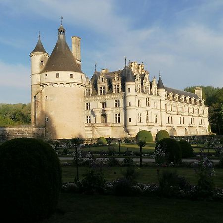 Bed and Breakfast Le Moulin Du Mesnil Saint-Georges-sur-Cher Exterior foto