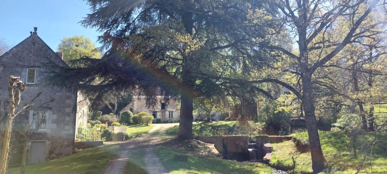 Bed and Breakfast Le Moulin Du Mesnil Saint-Georges-sur-Cher Exterior foto