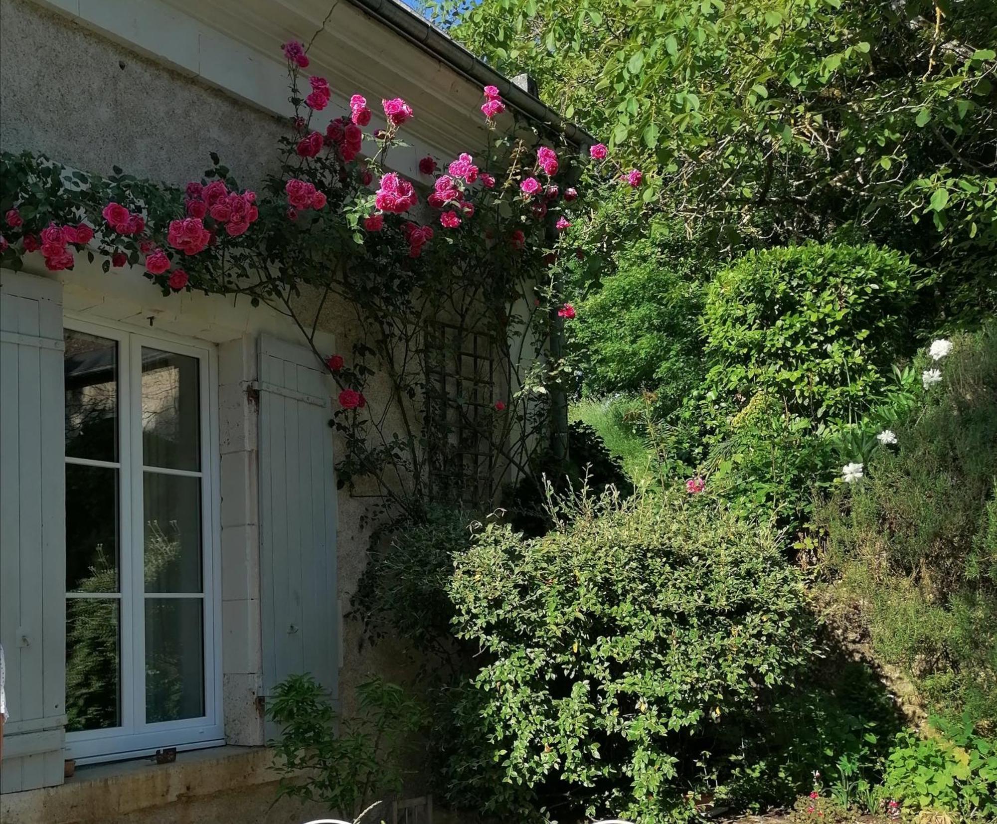 Bed and Breakfast Le Moulin Du Mesnil Saint-Georges-sur-Cher Exterior foto